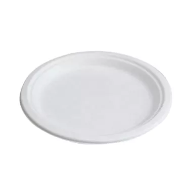 10" PLATES, 50PK