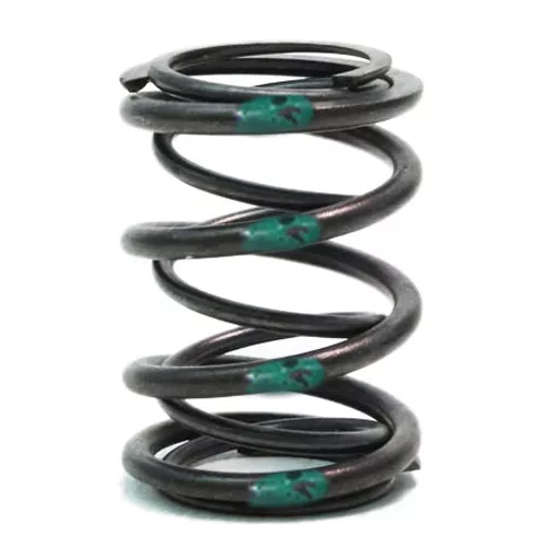 36lb Dual Valve "Green Stripe" SpringFor Engine Builders (Flathead, Clone, Predator, Animal)