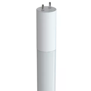 5000K LED T8 TUBE BULB