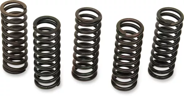 Barnett Clutch Spring Set – Honda/Triumph