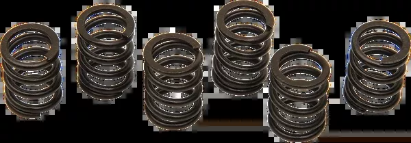 Barnett Clutch Spring Set – TL1000R/S
