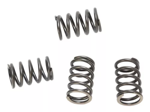 BBR HD Clutch Spring Kit (410-HXR-1005)