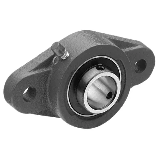 Cast Iron Flange Mountwith 1'' Axle Bearing