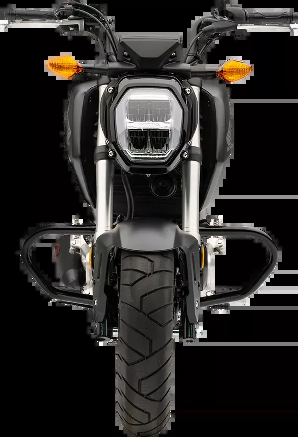 Cobra Freeway Bar (Highway Bar) - Black - Grom