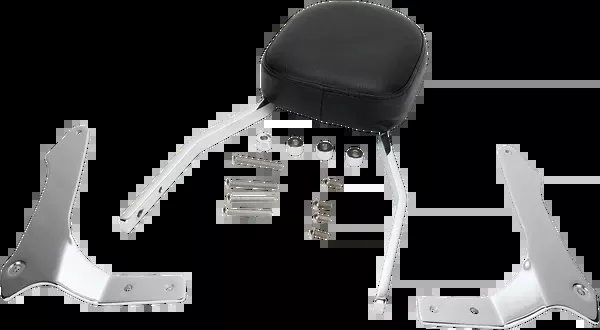 Cobra Sissy Bar – Standard – Raider