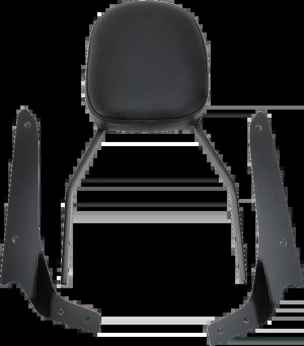 Cobra Sissy Bar - Standard - Shadow Phantom