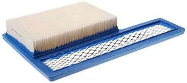 Cummins Onan 140-3116 Air Filter for Generators and RVs