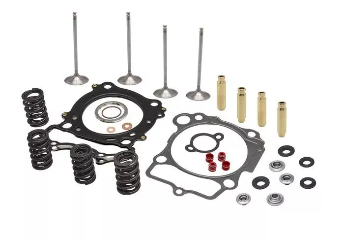 CYLINDER HEAD SERVICE KIT, KIBBLEWHITE 60-61790, SPRINGS VALVES HEAD GASKETS