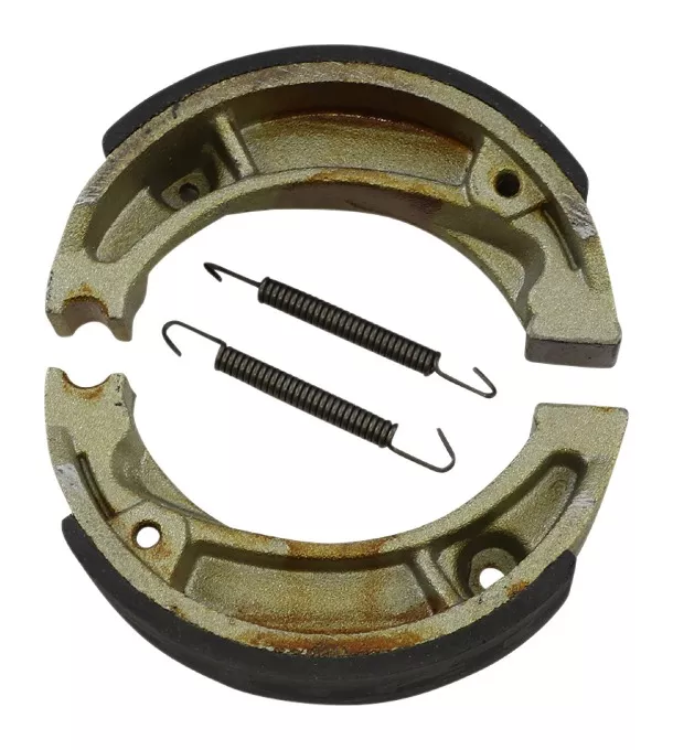 DP Brakes Rear Brake Shoes 9101