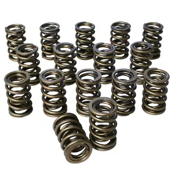 Dual Valve Springs - 1.437 98441