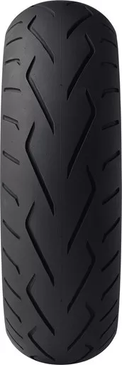 Dunlop Tire D250 - Front
