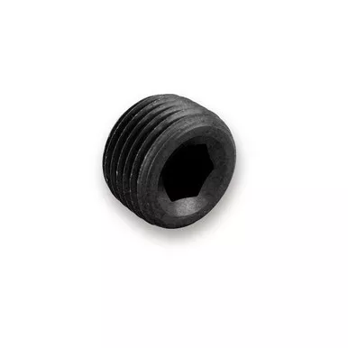 Earls 1/2in Pipe Plug Ano-Tuff AT993205ERL