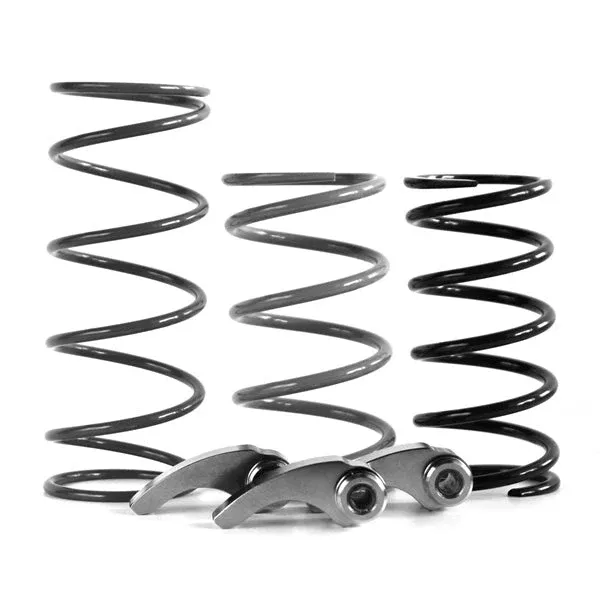 EPI Clutch Kit POL (WE437684)