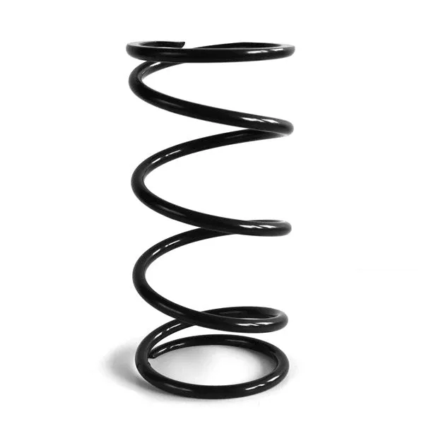 EPI Clutch Spring (ACXX1)