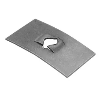 FLAT NUT #8-32