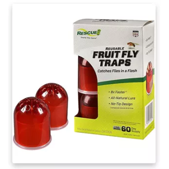 FRUIT FLY TRAP 2PK SHELF