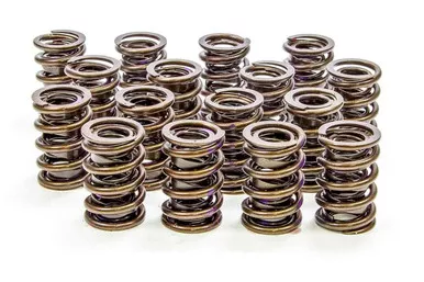 Isky 1.560in Valve Springs 9385