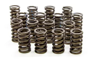 Isky Valve Springs 205D