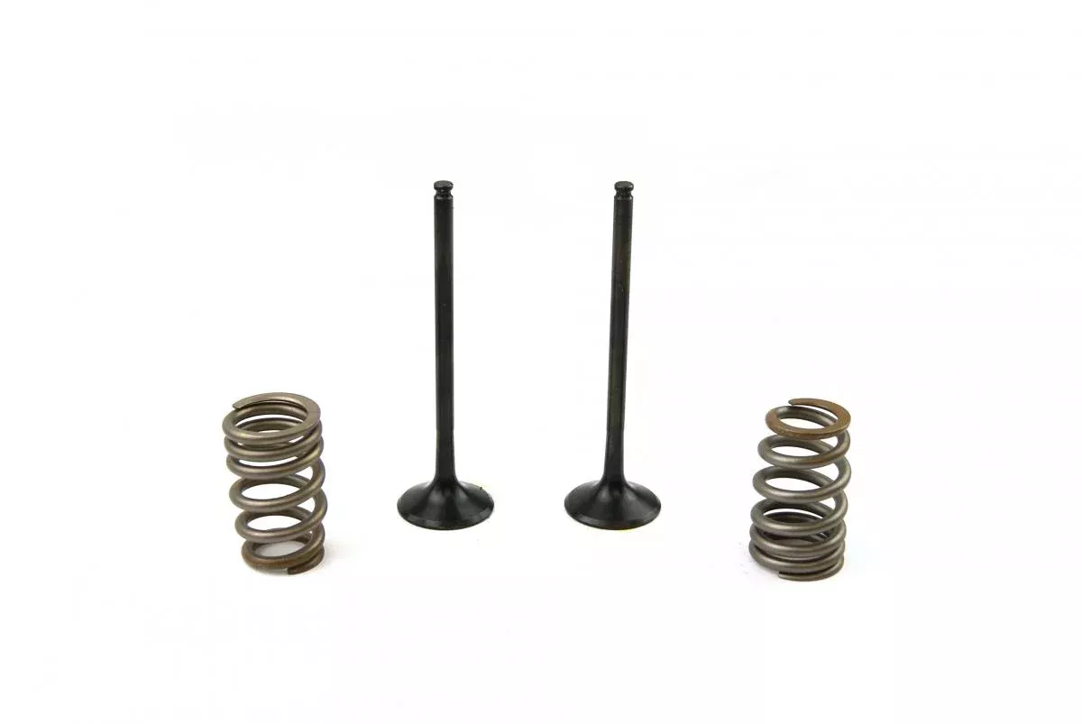 KIT EX VALVE+SPRING KTM250, PROX 28.SES6327-1 EXHAUST