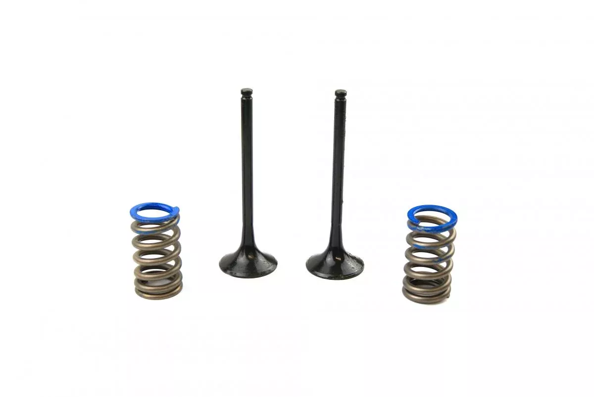 KIT EX VALVE+SPRING KTM350, PROX 28.SES6351-1 EXHAUST
