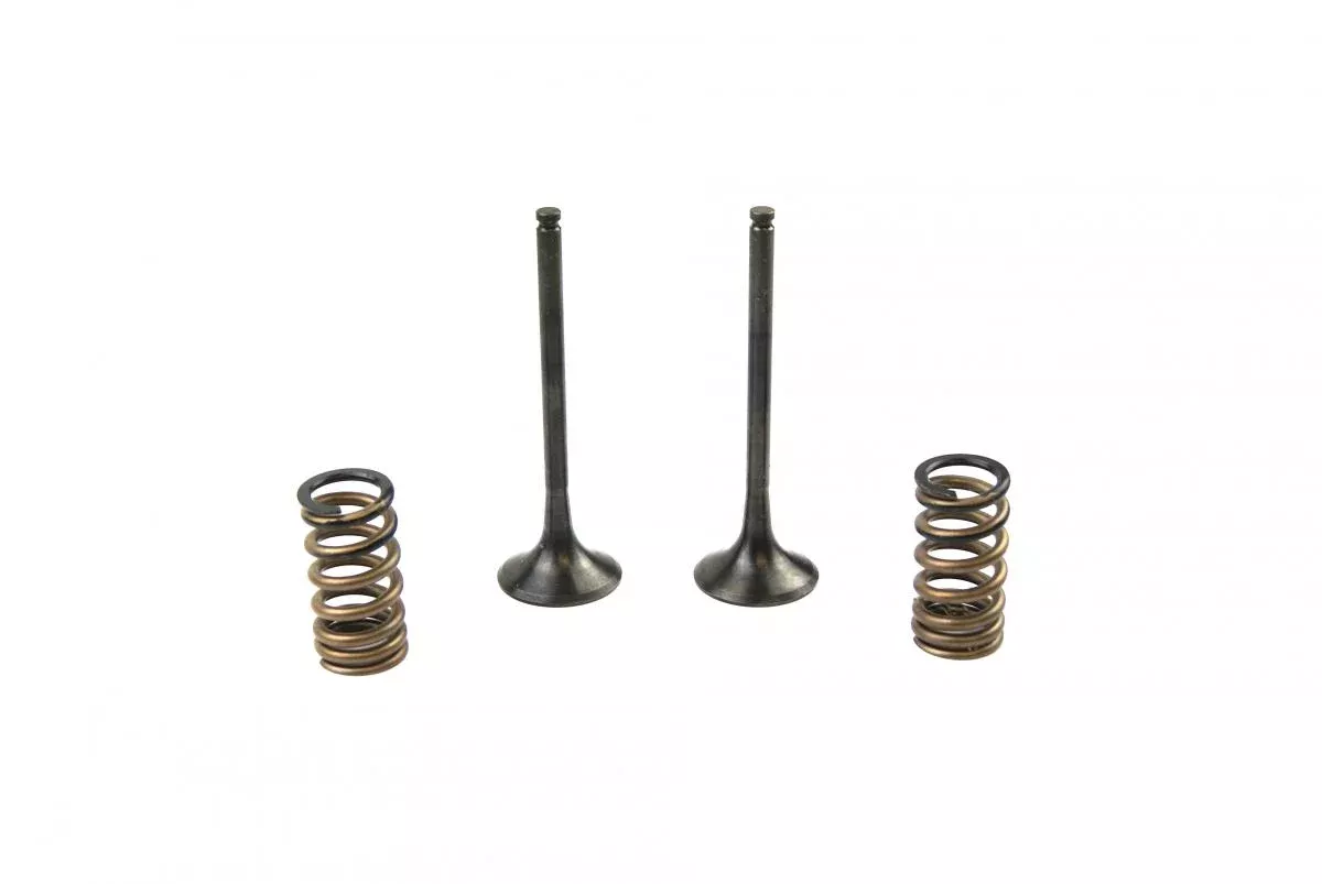 KIT EX VALVE+SPRING KTM350, PROX 28.SES6353-1 EXHAUST