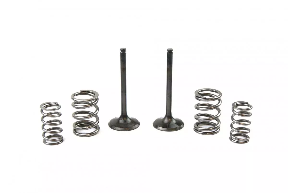 KIT EX VALVE+SPRING KX450F, PROX 28.SES4409-1 EXHAUST