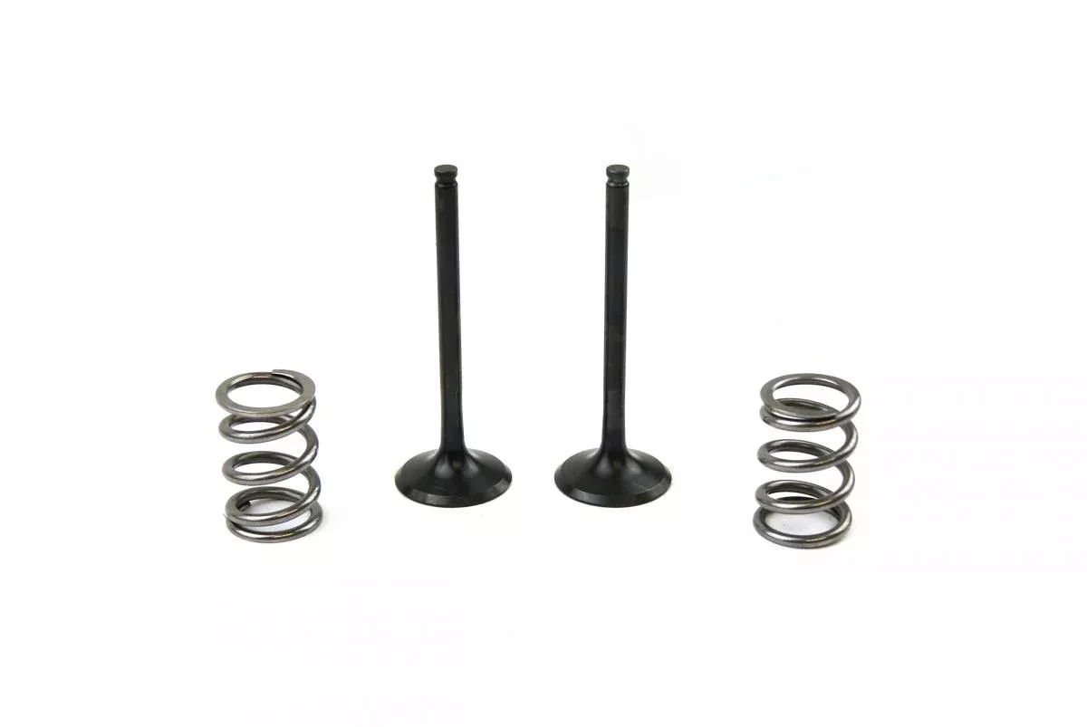 KIT EX VALVE+SPRING LT-R450, PROX 28.SES3406-1 EXHAUST