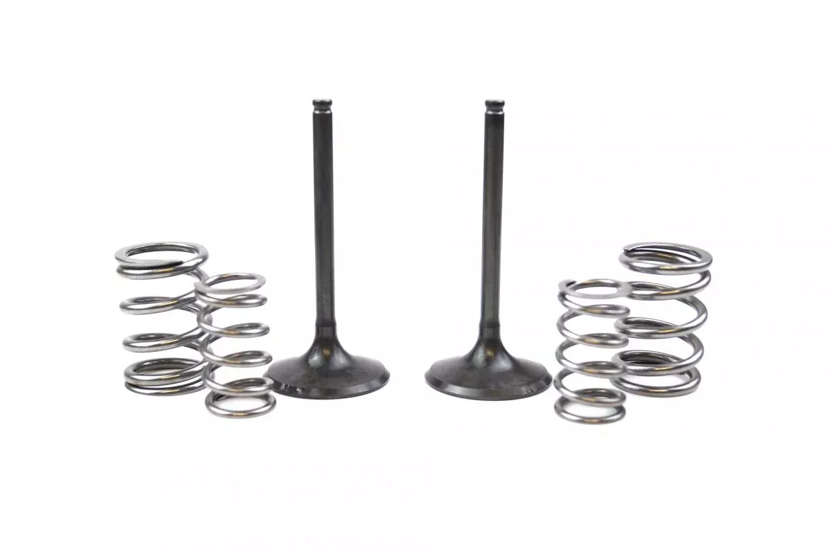 KIT IN VALVE+SPRING KXF450, PROX 28.SIS4409-2 INTAKE