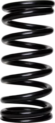 Landrum 12in. x 5.5in. x 700# Front Spring F700