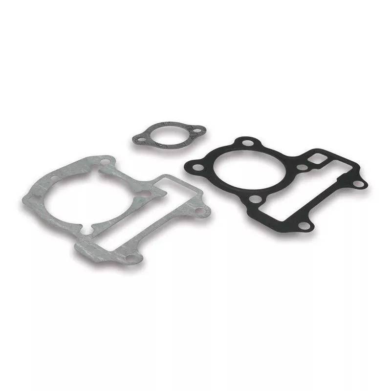 Malossi Gasket Kit