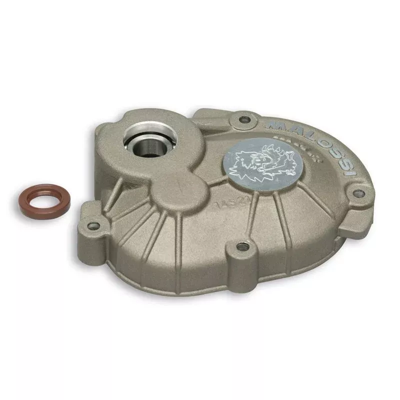 Malossi Roller Crankcase MHR Piaggio