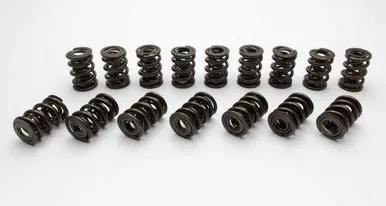 Manley 1.570 Dual Valve Springs 221440P-16