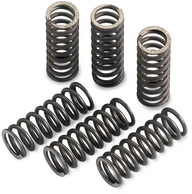 Moose Clutch Spring Set (FHDS81-6)