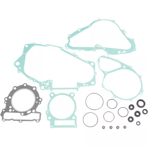 Moose Complete Engine Gasket Kit w/Oil Seals for '00-07 DS650 (M811853)