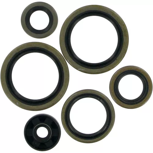 Moose Complete Engine Oil Seal Kit (0934-0166)