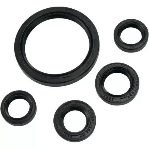 Moose Complete Engine Oil Seal Kit (0935-0393)