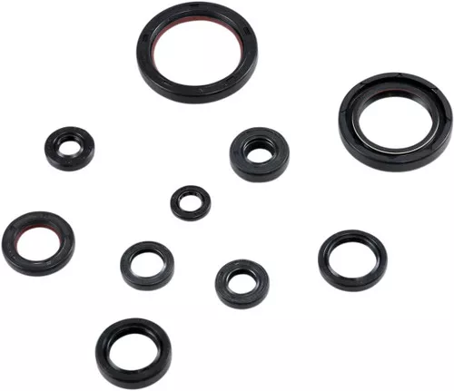 Moose Complete Engine Oil Seal Kit (0935-1025)
