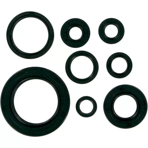 Moose Complete Engine Oil Seal Kit (M822111)