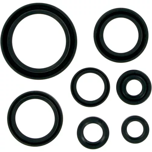 Moose Complete Engine Oil Seal Kit (M822127)