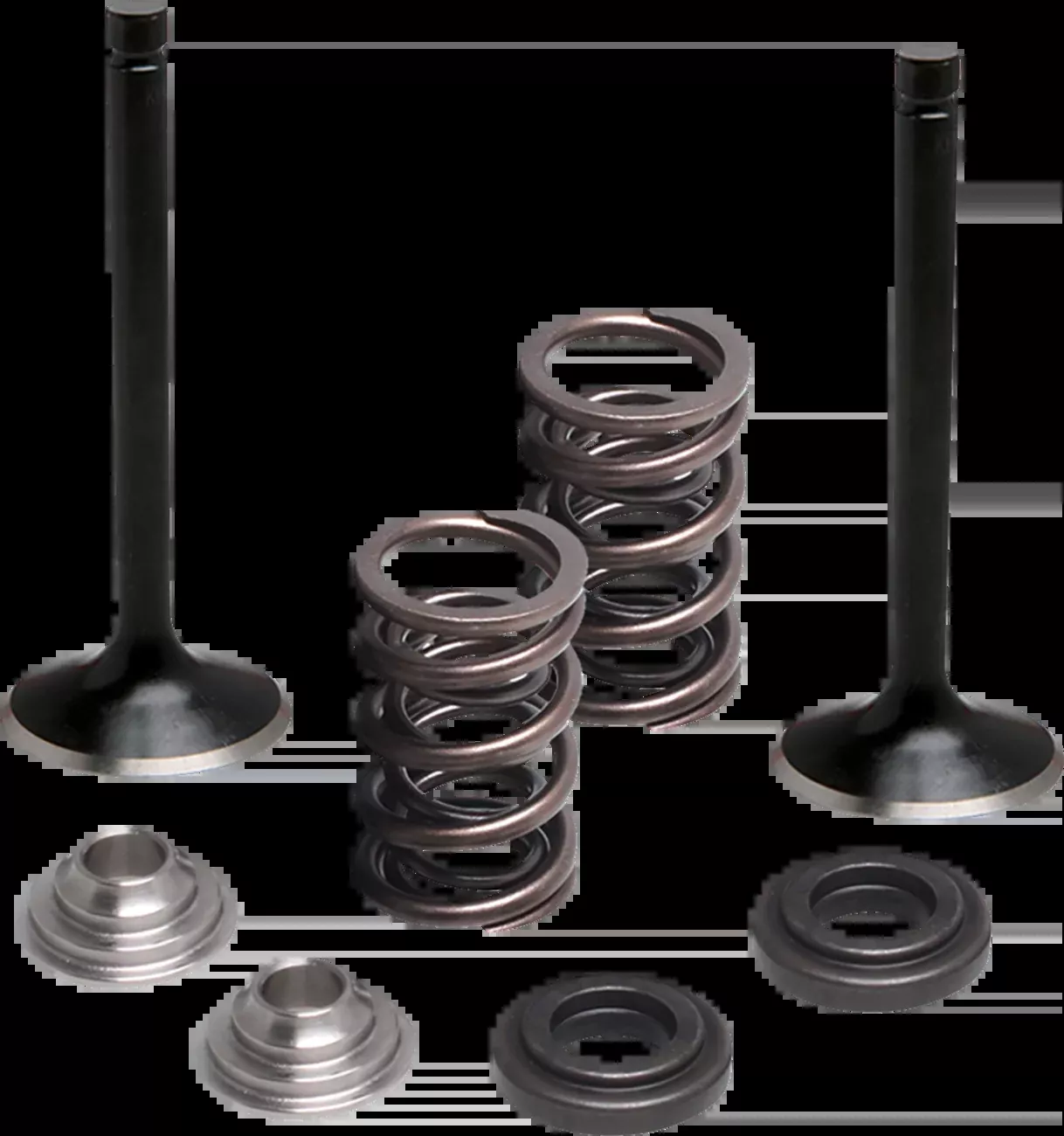 Moose Offroad Valve and Spring Kit – Exhaust – Yamaha-M80-83060
