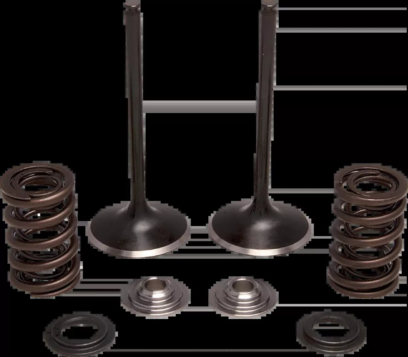 Moose Offroad Valve and Spring Kit – Intake – Honda-M30-34250