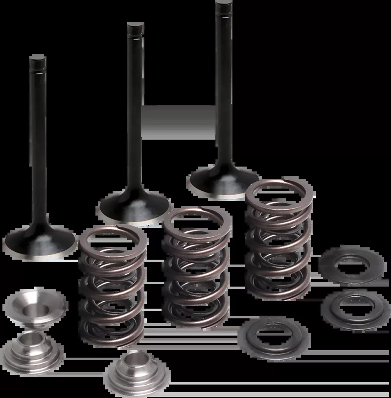 Moose Offroad Valve and Spring Kit – Intake – Yamaha-M80-83050