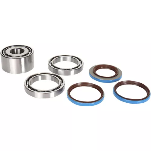 Moose Rear Differential Bearing & Seal Kit (1205-0255)