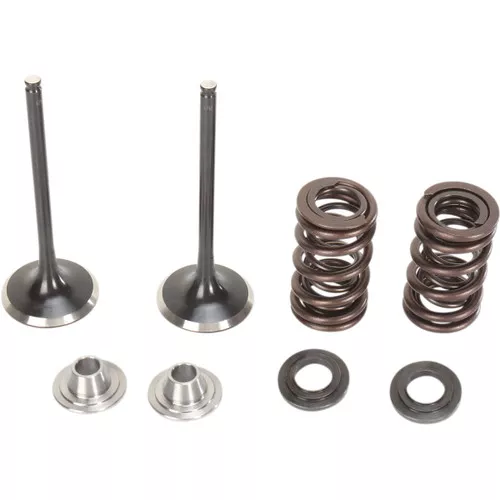 Moose Stainless Exhaust Valve & Spring Kit (0926-2455)