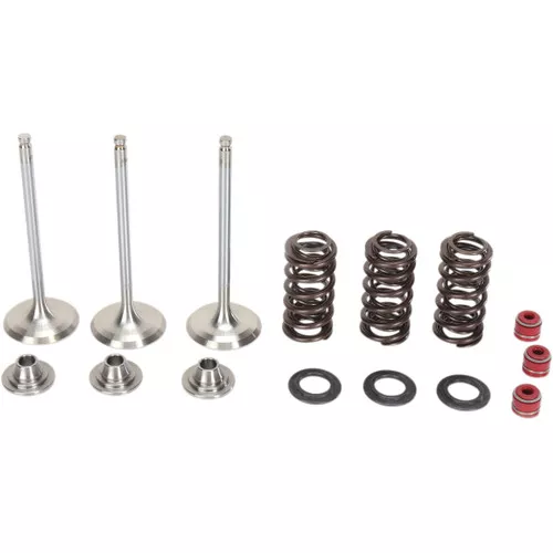 Moose Stainless Intake Valve & Spring Kit (0926-2459)