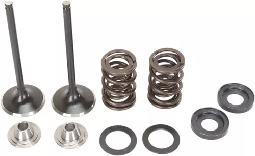 Moose Stainless Intake Valve & Spring Kit (0926-2463)