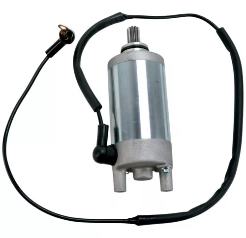 Moose Starter Motor (2110-0348)