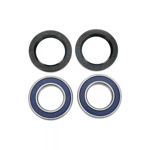 Moose Wheel Bearing & Seal Kit (A25-1315)