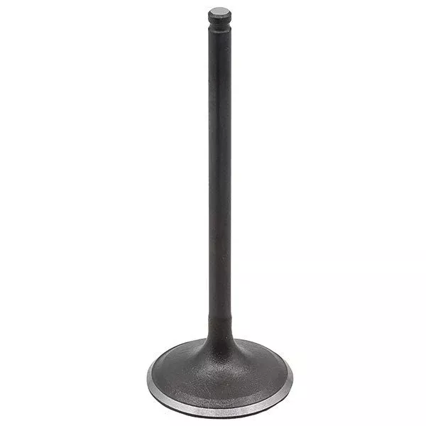 Namura Intake Valve (AU-09233I)