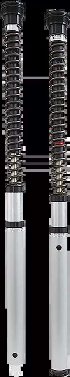 Ohlins Cartridge Kit – 30 MM (FGK239)